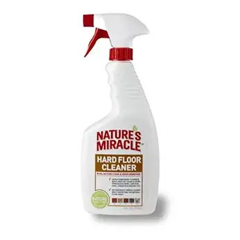photo Diy Floor Cleaner For Dog Urine dog urine soaked into hardwood floors