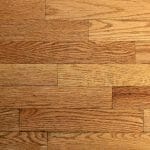 hard wood floors steam cleaner