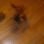 black stains on hardwood floor