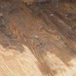 how to save a hardwood floor from water