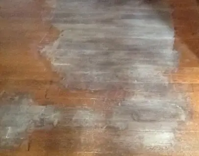 Dog Urine Soaked Into Hardwood Floors What To Do Wood Floors