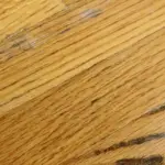 mold on hardwood floors