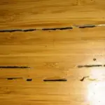 Termite Damage in Hardwood Floors