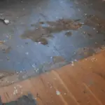 hardwood floor after carpet