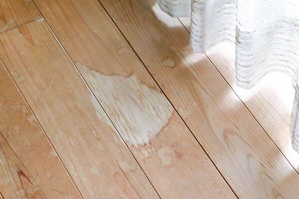 Dog Urine Soaked Into Hardwood Floors What To Do Now