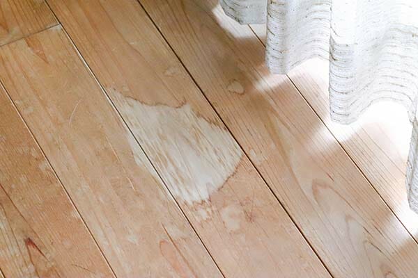 homemade remedy for dog urine on laminate flooring