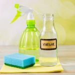 Does Vinegar Kill Black Mold