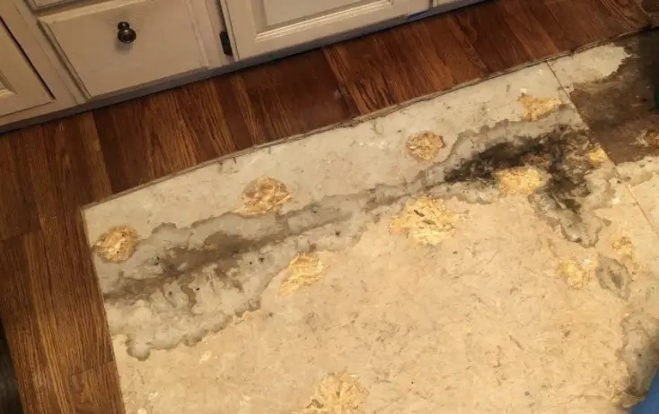 Can Your Floors Be Saved After a Dishwasher Leak