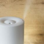 Dehumidifier for Hardwood Floors
