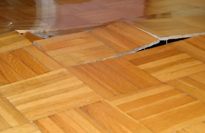 What Causes Buckled Hardwood Floors
