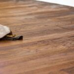 When Are Hardwood Floors Beyond Repair