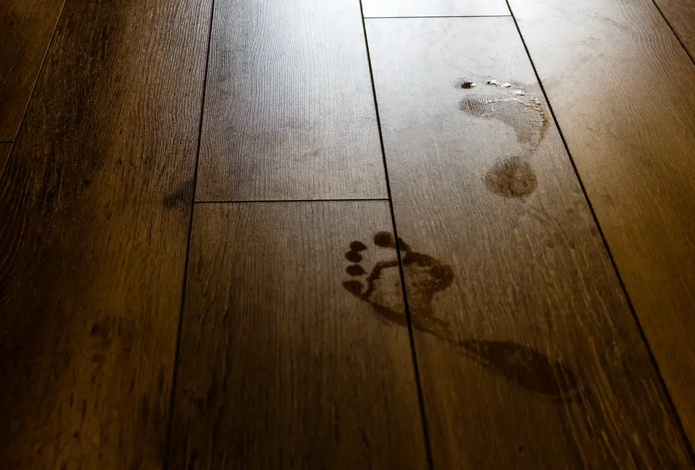 How To Get Footprints Off Hardwood Floors