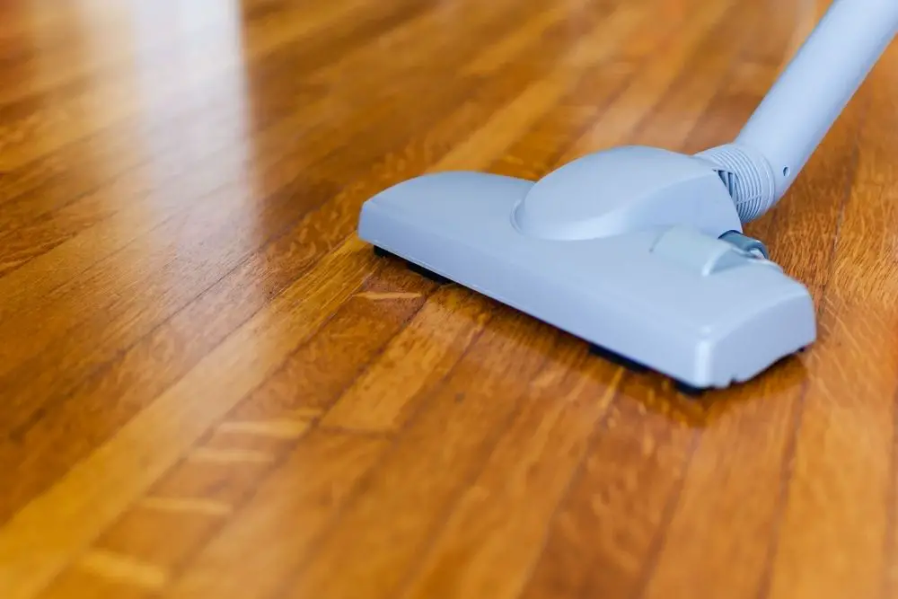 Baking Soda to the Rescue – Can This Kitchen Staple Kill Fleas on Hardwood Floors? Baking Soda to the Rescue – Can This Kitchen Staple Kill Fleas on Hardwood Floors?