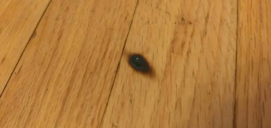 Can You Burn Laminate Flooring
