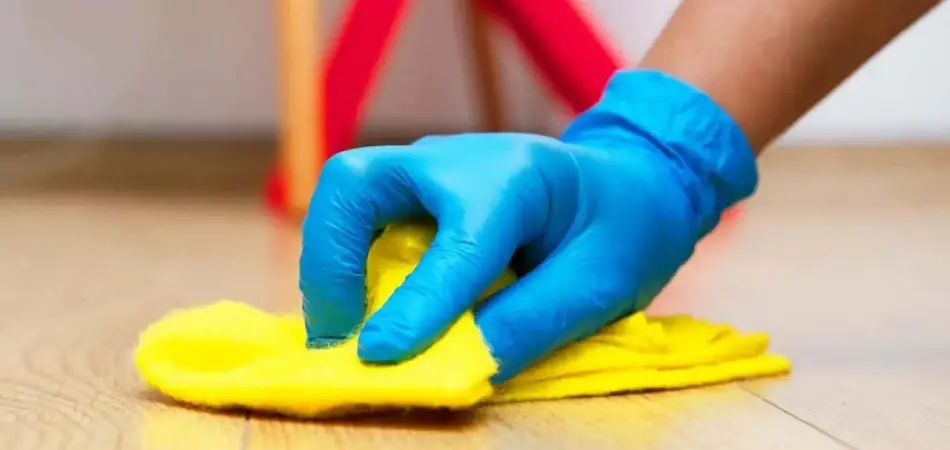 How to Get Hair Dye off Wood Floor? - WFC Wood Floor Cleaner