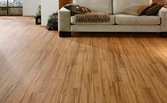 Appearance
