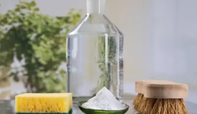 How to Kill Molds and Remove Stains Using White Vinegar